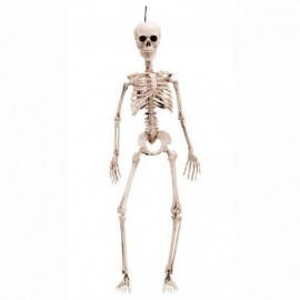Esqueleto humano de plastico de 76 cm