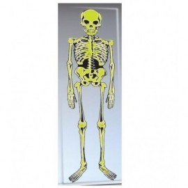 Esqueleto fluorescente decoracion pared 150 cm