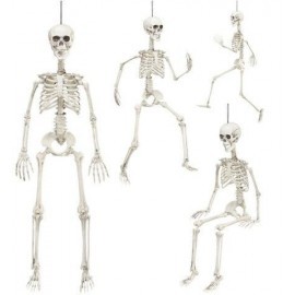 Esqueleto humano articulado posable 90 cm 04874