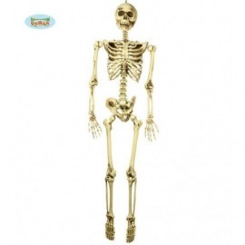 Esqueleto humano realista 160 cm decoracion hallow