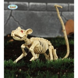 Esqueleto de rata 20 cms