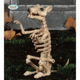 Esqueleto rata 24 cms