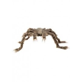 Araña peluda marron negra y gris 50 cm