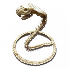 Esqueleto de serpiente cobra para decoracion halloween