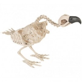Esqueleto de buitre de 44 x 23 cm para decoracion halloween