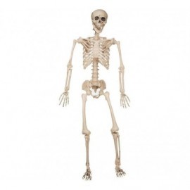 Esqueleto humano de 120 cm para decoracion de halloween