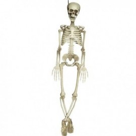 Esqueleto humano 90 cm realista decoracion terror