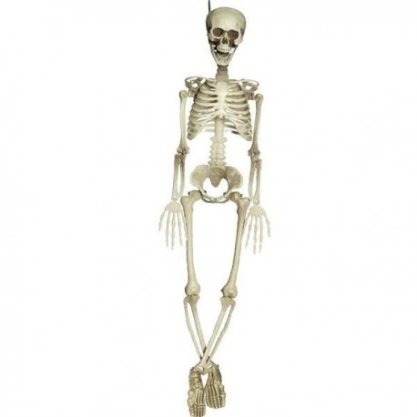 Esqueleto humano 90 cm realista decoracion terror