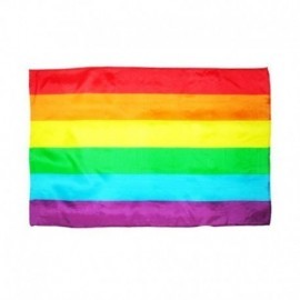 Bandera gay 90 x 60 cm